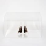 Charlotte Brüel, Haiku Object I think that:, 2012-2015