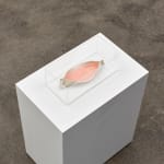 Tove Storch, Untitled, 2021