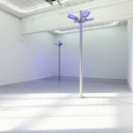 Gardar Eide Einarsson, Distinct Functional Layers Help Establish Hierarchy and Order, 2016
