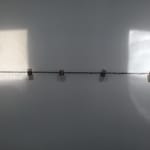 Runo Lagomarsino, One flew over the cuckoo's nest, 2019