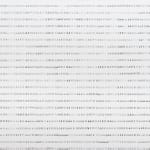 Runo Lagomarsino, AMERICAMNESIA, 2017