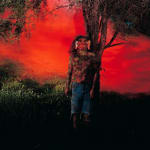 Runo Lagomarsino, Between an Imperial system and a metric system (rulers), 2003