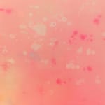 Rebecca Lindsmyr, Untitled (Plansch #10), 2022