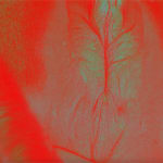 Lea Porsager, Old, grey ICUnTS IV, 2023