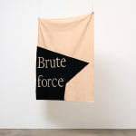 Gardar Eide Einarsson, I HAVE A DREAM OF LAW AND ORDER, 2018