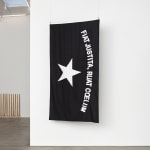 Gardar Eide Einarsson, Distinct Functional Layers Help Establish Hierarchy and Order, 2016