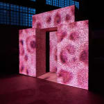 SUPERFLEX, Vertical Migration, 2021