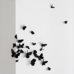 Carlos Amorales, Black Cloud Fashion, 2022