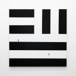 Gardar Eide Einarsson, Terrorism - is it Revolutionary, 2021
