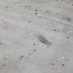 SUPERFLEX, Experience climate change as an animal / The Cockroach, 2009