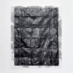 Gardar Eide Einarsson, Distinct Functional Layers Help Establish Hierarchy and Order, 2016