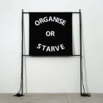 Gardar Eide Einarsson, Distinct Functional Layers Help Establish Hierarchy and Order, 2016
