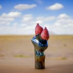 Elsa Sahal, Fleue, 2002