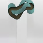 Amir Nikravan, Rational Design (Pre-Exposure), 2017