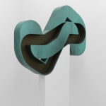 Amir Nikravan, Rational Design (Pre-Exposure), 2017
