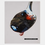 Kaoru Ueda, Acanthus B, 2013