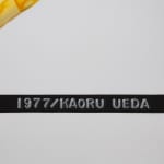 Kaoru Ueda, Acanthus B, 2013