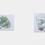 Kaoru Ueda, Acanthus B, 2013