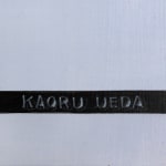 Kaoru Ueda, Acanthus B, 2013