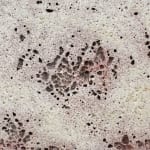 Masaomi Yasunaga, 骨と皮 / bone and skin, 2014