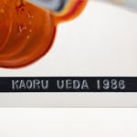 Kaoru Ueda, Acanthus B, 2013