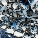 Satoru Hoshino, Metamorphosis / 変性―土の板変じて鳥になる, 1988