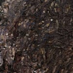 Takeshi Honda, 作業靴 (上がり框), 2019