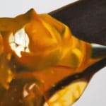 Kaoru Ueda, Acanthus B, 2013