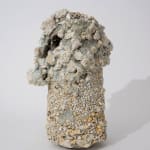 Masaomi Yasunaga, 骨と皮 / bone and skin, 2014