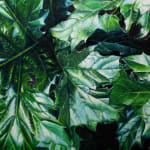 Kaoru Ueda, Acanthus B, 2013