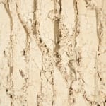 Keita Matsunaga, Monuke, 2023