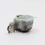 Masaomi Yasunaga, 骨と皮 / bone and skin, 2014