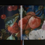 Christopher Wool, Collector's Edition, 2008