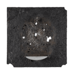 Anthony Leenders, fossil fishing, 2025