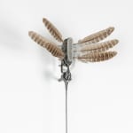 Anthony Leenders, fossil fishing, 2025