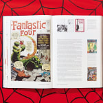 Marvel, The Stan Lee Story, 2018