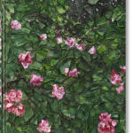 Christopher Wool, Collector's Edition, 2008