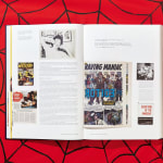 Marvel, The Stan Lee Story, 2018