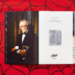 Marvel, The Stan Lee Story, 2018