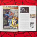 Marvel, The Stan Lee Story, 2018