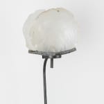 Anthony Leenders, fossil fishing, 2025