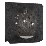 Anthony Leenders, fossil fishing, 2025