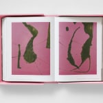 Christopher Wool, Collector's Edition, 2008