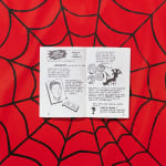 Marvel, The Stan Lee Story, 2018