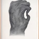 A single strand of your hair