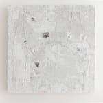 Joanna Bailey, Circles, 2011