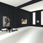 Maurizio Bonfanti, Nudo Femminile, 2008