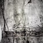 Kyra Mancktelow, Untitled (Y2806II), 2022