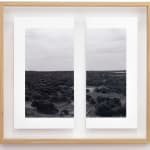 James Tylor, Tapa-arra Through the Landscape 11, 2024