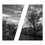 James Tylor, Tapa-arra Through the Landscape 14, 2024